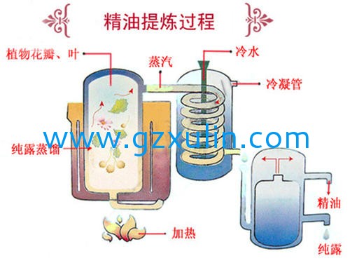 广州emc易倍体育
精细化工有限公司