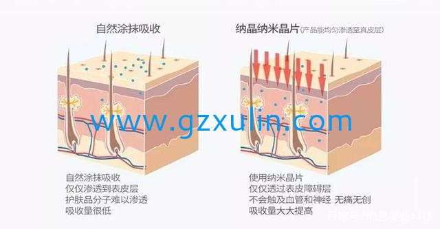 广州emc易倍体育
精细化工有限公司